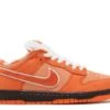 Nike Concepts X Dunk Low SB 'Orange Lobster' -Retro Shoes Shop 1 4