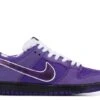 Nike Concepts X Dunk Low SB 'Purple Lobster' 1 Nike Concepts X Dunk Low SB 'Purple Lobster' -Retro Shoes Shop 1 70