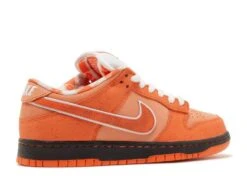 Nike Concepts X Dunk Low SB 'Orange Lobster' Special Box -Retro Shoes Shop 3 48